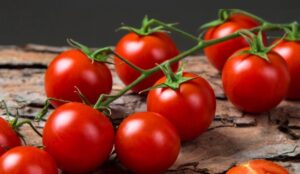 pomodoro ciliegino biologico proprieta e benefici